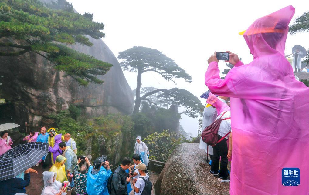 星鱼平台注册